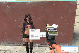 Bodygroup's Tool (Garry's Mod)