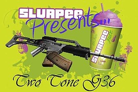 Two Tone G36