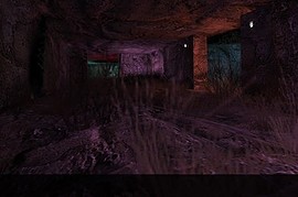 dm_badgerset_night