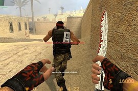 C4 Snow Camo