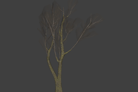 !tree_15