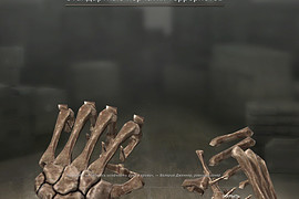 Skeleton