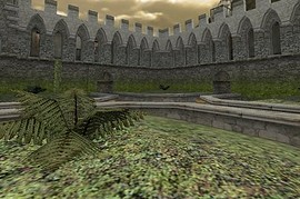 aim_maze_cz