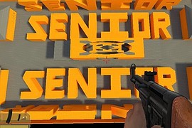 dod_orange_senior