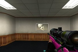 Bubblegum AWP, For the Ladies