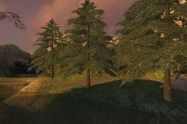 dm_forrest_vendetta_v1
