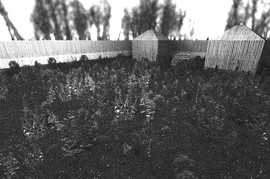 fy_floesk2
