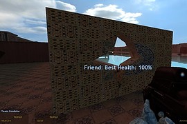 ins_pool_party