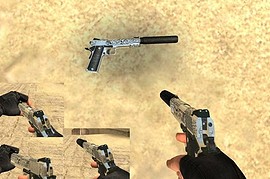 USP Armed Citizen