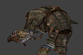 Mirelurk