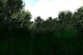 cs_garden_park