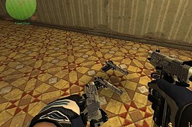 Armed Citizens