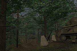 dod_copse_b1
