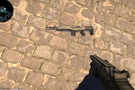 MK14 ECR