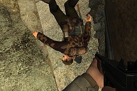 Camo_German