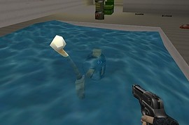 half_life_pool_day
