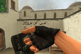Erichhartmanns_Arm_reskin