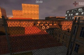 zph_roofrun