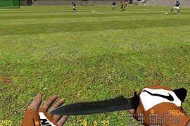 Nike_Caramel_Orange