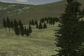 ts_woods_alpha6