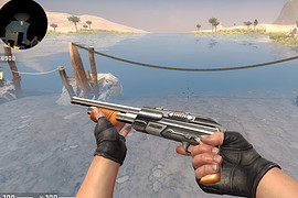 Shotgun