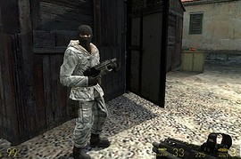 Rebel-CSS-Terrorists