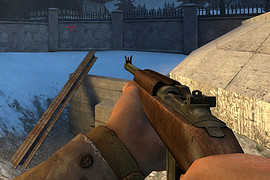Brutal_s_Carbine