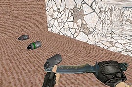 100hpftw_(cs_1.6)