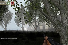 dod_forest