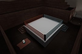 boxing_ring