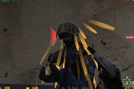 Tactical Usp