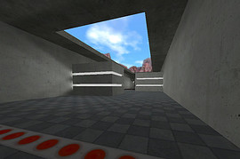 skillrun_euthanasia