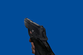 FNP-9