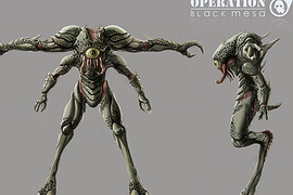 Operation Black Mesa