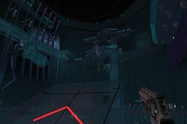 dm_icu