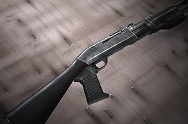 Shotgun