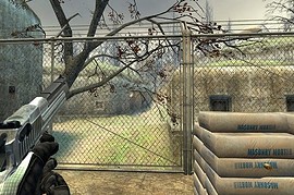 Silver Black Deagle