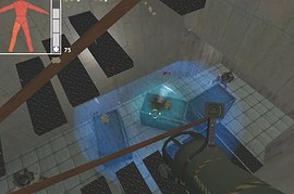 Half-Life Invasion
