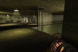 dm_section8