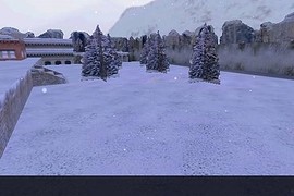 aim_survivor