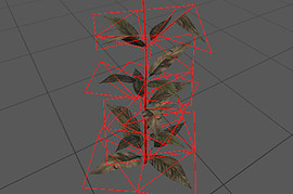 plant5