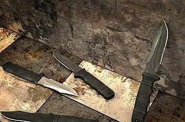 SOG_M37_SEAL_PUP