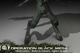 Operation Black Mesa
