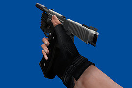 SIG P226 Two Toned