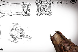 Operation Black Mesa