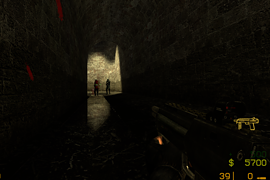Counter-Life 2 - Early Access