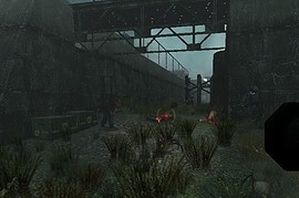 sg_coop_runoff_zb