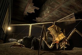 Antlions Everywhere