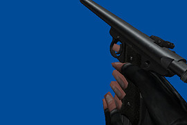 Ruger MKII .22 (3 skins)