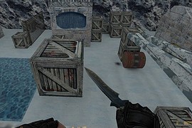 as_arcticcentury